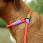 zeedog-slip-n-lock-leash-everest_main-2_540x