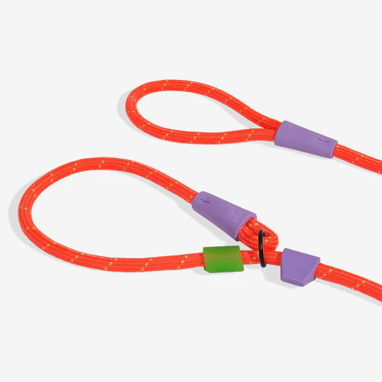 zeedog-slip-n-lock-leash-everest_main-3_540x