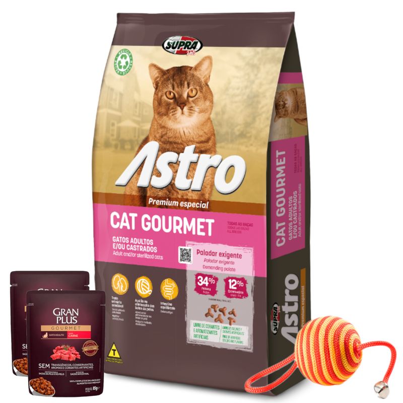 Astro-Gato-Gourmet-Nueva--2-pate---juguete