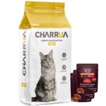 gatos-charrua---3-pate