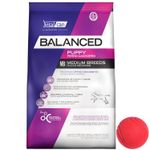 Balanced-Dog-Cachorro-M---pelota