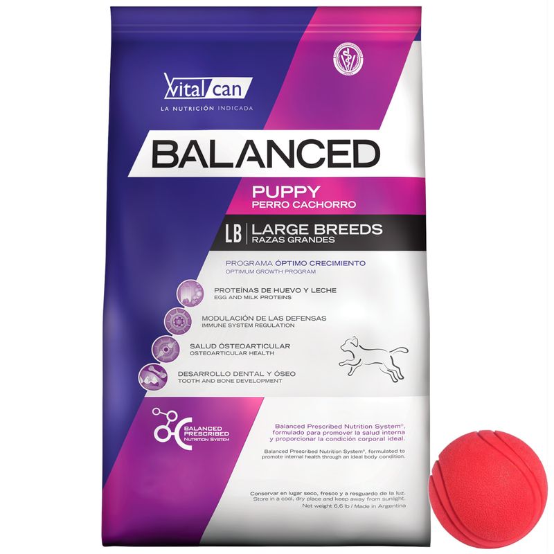 Balanced-Dog-Cachorro-G-20---pelota