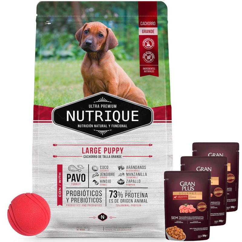 Nutrique-Perro-Cachorro-Grande-15---Juguete---3-pate