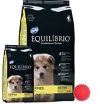 2Equilibrio-Cachorro-18kg---pelota