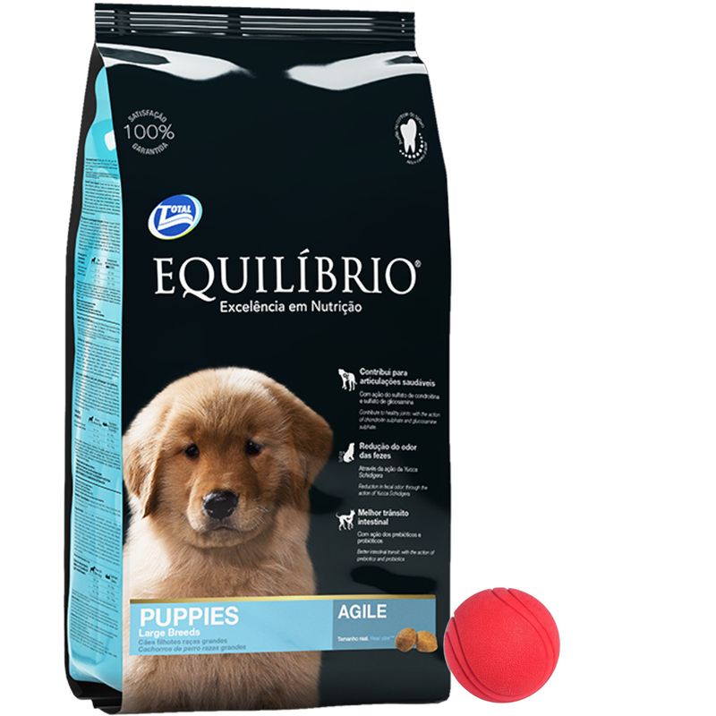 2Equilibrio-Cachorro-Raza-Grande---pelota