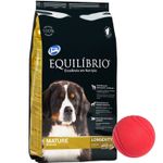 3Equilibrio-Mature-15-Kg---pelota