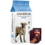 Cachorros-charrua---3-pate