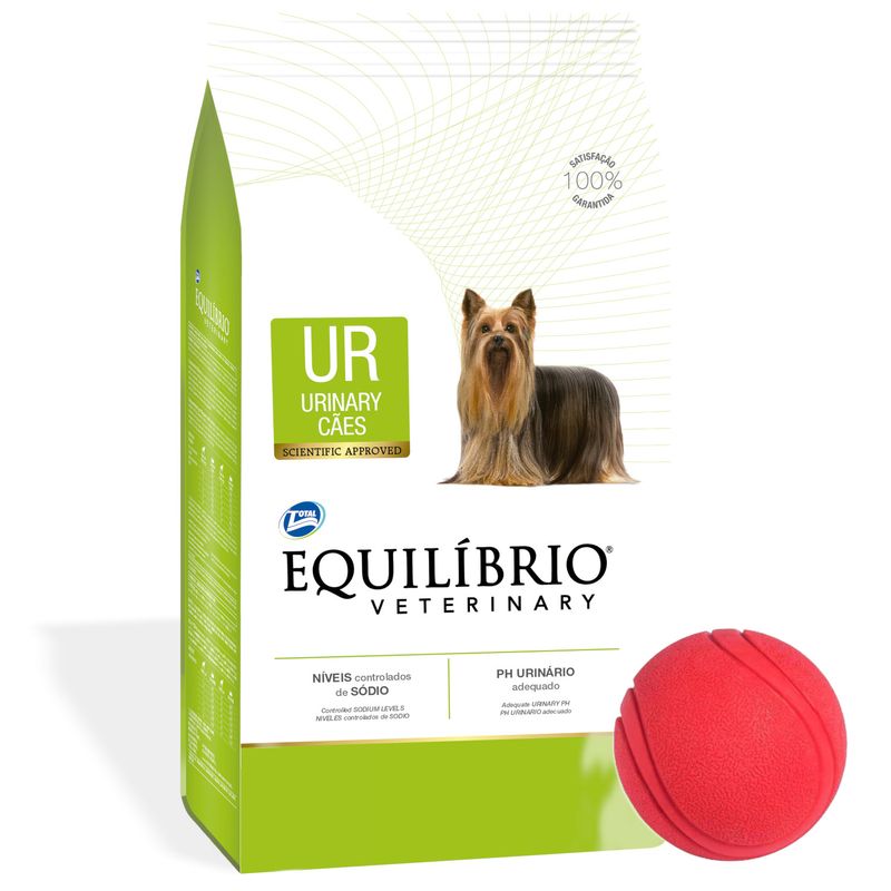 3Equilibrio-Urinary---pelota