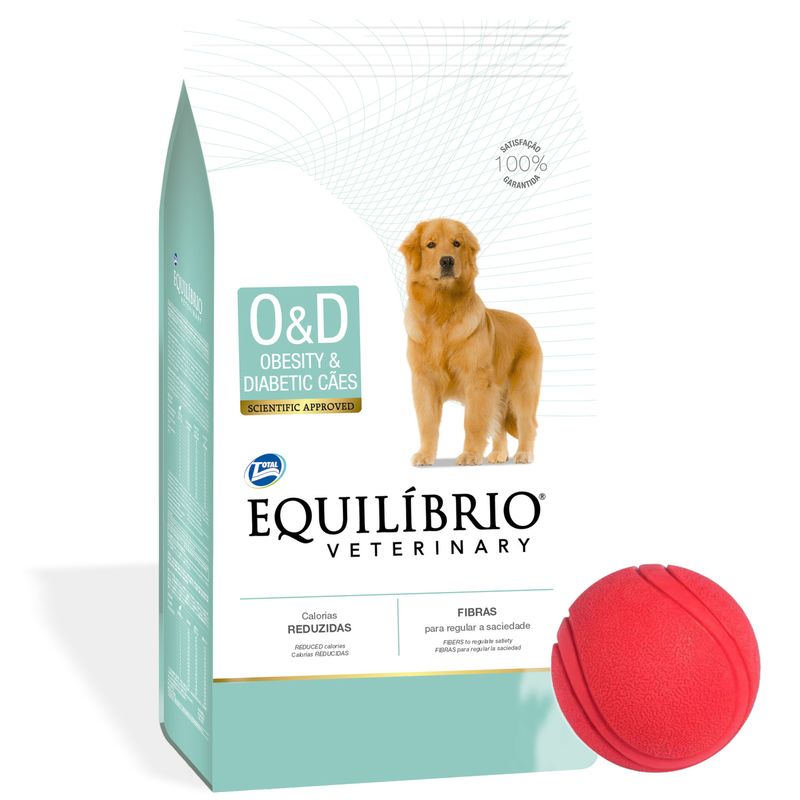 3Equilibrio-Obesity---pelota