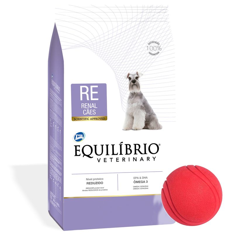 3Equilibrio-Renal---pelota