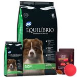 2Equilibrio-Adulto-18kg---PELOTA---2-PATE