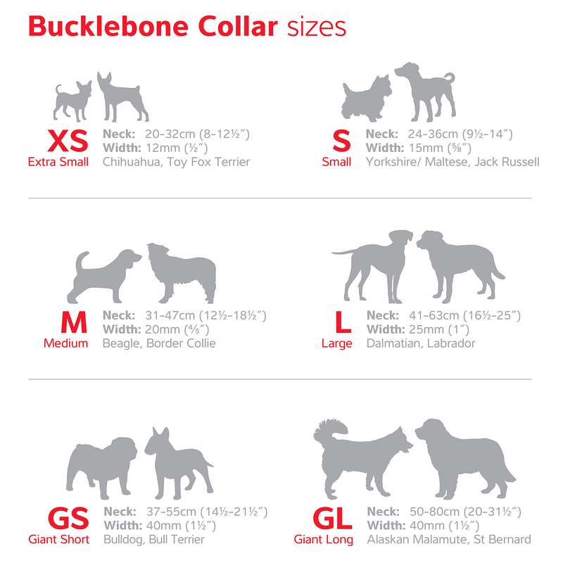 Sizing-Chart-Bucklebone-Collar-4167x4167-092ffee5-d23e-447f-95ed-f088f92659ea.jpg