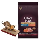 GRAN-PLUS-GOURMET-GATO-CASTRADO-SALMON-y-POLLO---Rascador