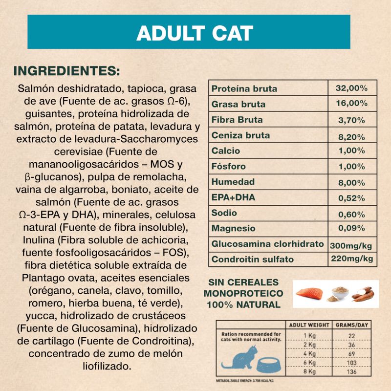 Gato-adulto--Salmon-GENERAL