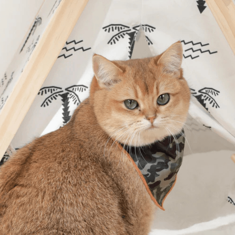 Collar-Mpets-Bandana-Wild-Jungle-3