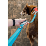 Correa-Red-Dingo-Superlead-Classic---Negra-3.png