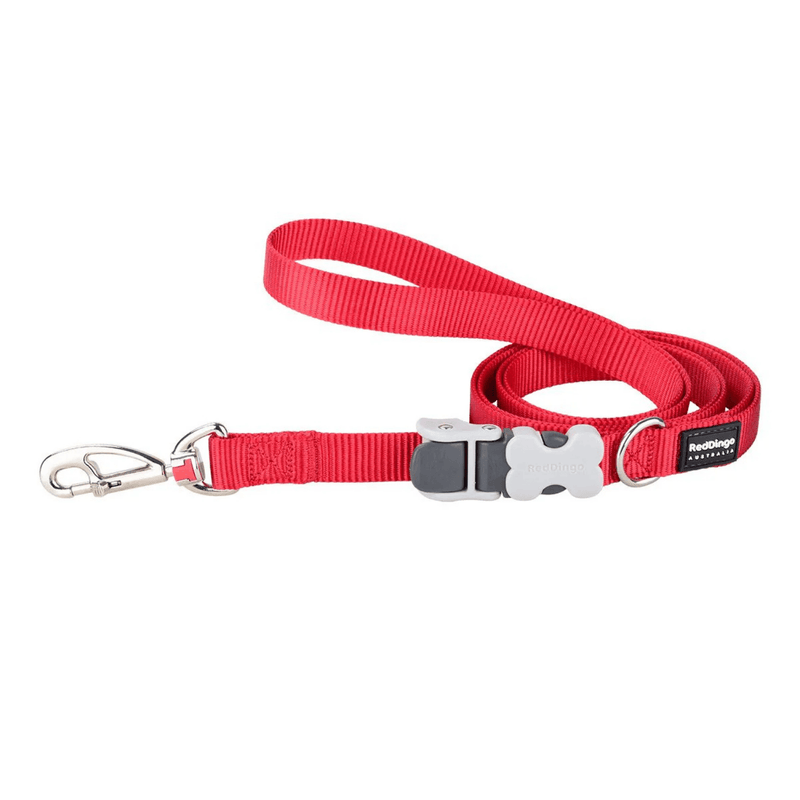 Correa-Red-Dingo-Superlead-Classic---Roja-1.png