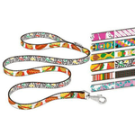 Fantasia-G10120-Correa-Ferplast-1.png