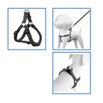 Arnes---Correa-Animal-Planet-1.png