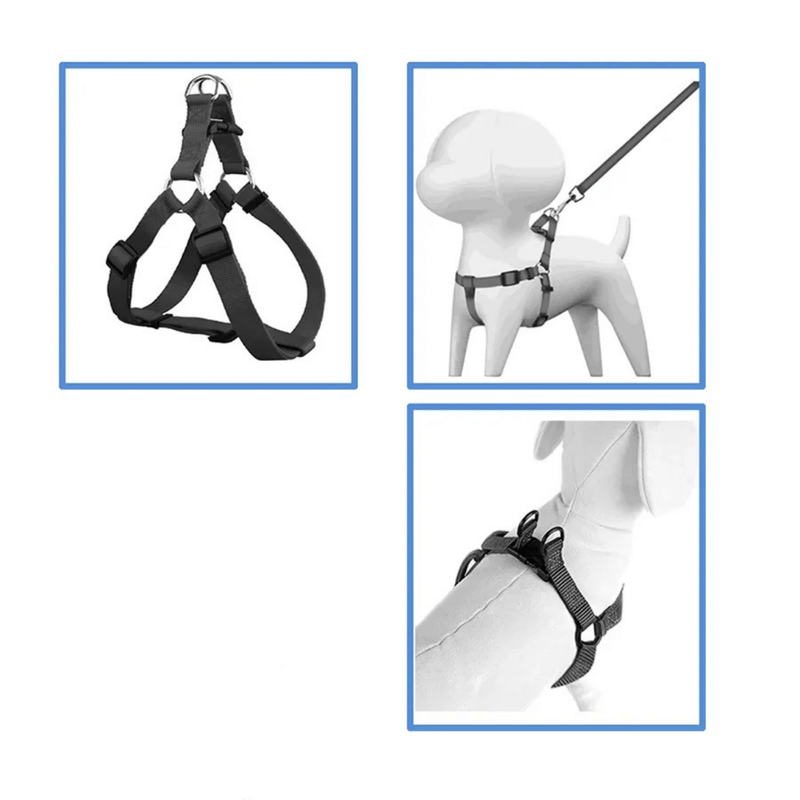 Arnes---Correa-Animal-Planet-1.png