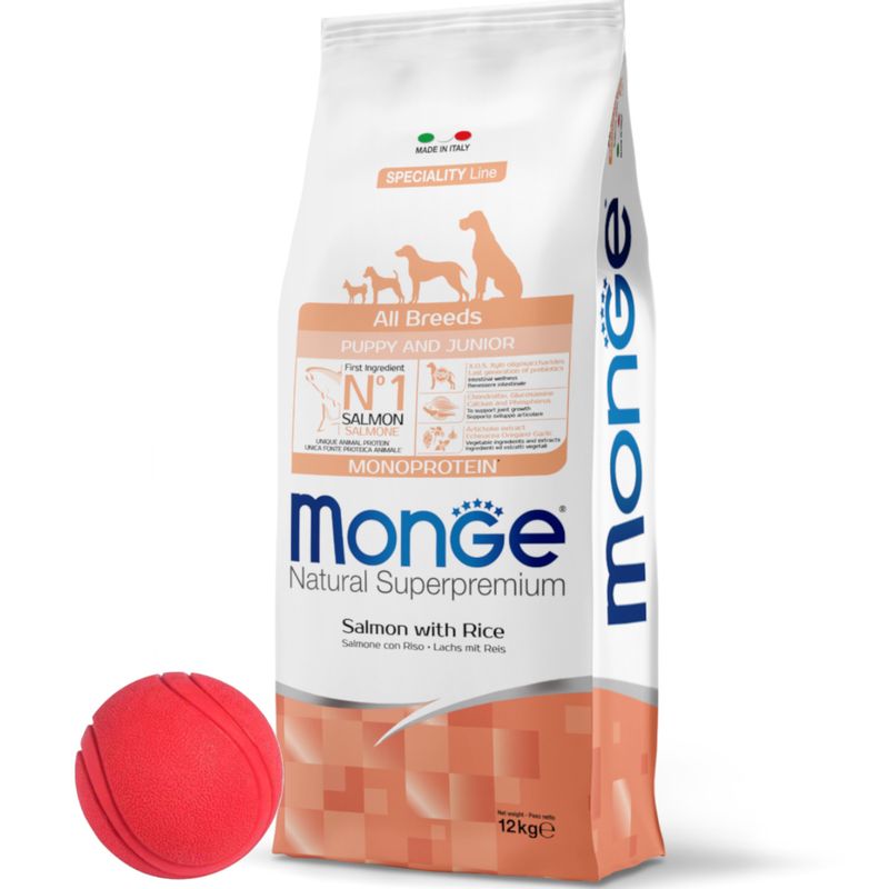 ALL BREEDS adult salmon 12kg + pelota.jpg