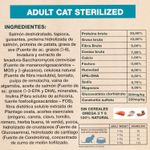 Gato-adulto-Salmon-Castrado-GENERAL