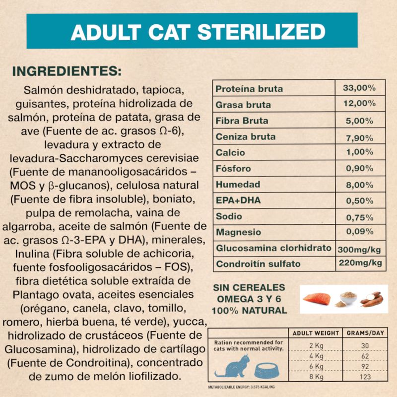 Gato-adulto-Salmon-Castrado-GENERAL