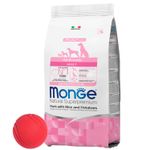 ALL BREEDS adult MONO cerdo 12kg + pelota correcto.jpg