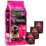 3Maxine Gato Castrado + 3 pates gp.jpg