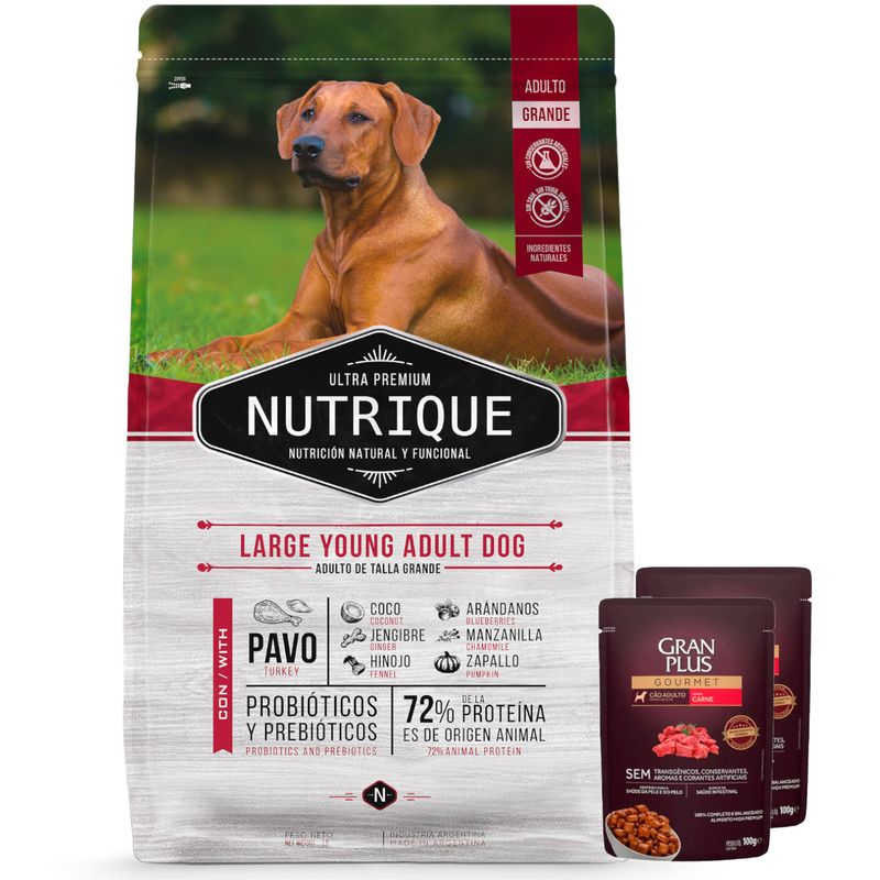 Nutrique Perro Cachorro Grande + 2 PATE GP.jpg