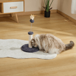 Alfombra-Para-Banos---Mpets-Cat-Litter-Mat--16-.png