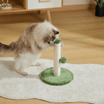 Alfombra-Para-Banos---Mpets-Cat-Litter-Mat--25-.png
