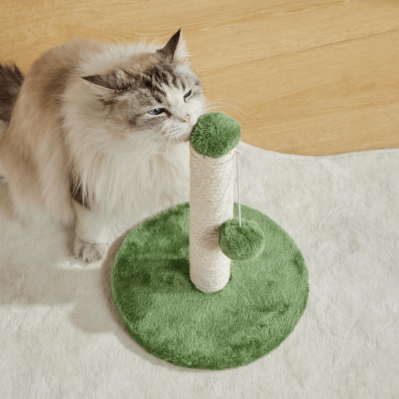 Alfombra-Para-Banos---Mpets-Cat-Litter-Mat--22-.png