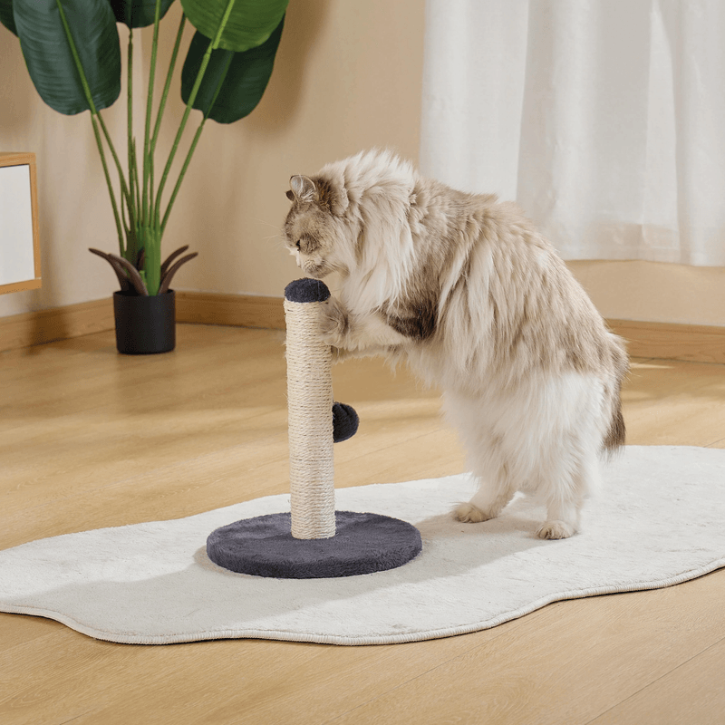 Alfombra Para Banos - Mpets Cat Litter Mat -28-.png