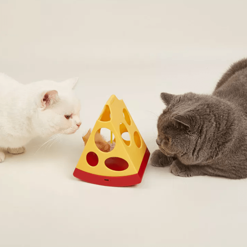 Alfombra-Para-Banos---Mpets-Cat-Litter-Mat---2025-04-11T135403.572.png