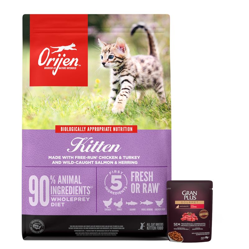 KITTEN---1-pate.JPG