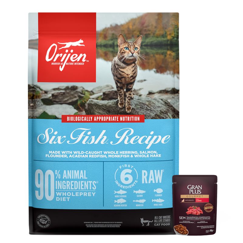 SIX FISH +1 pate.JPG
