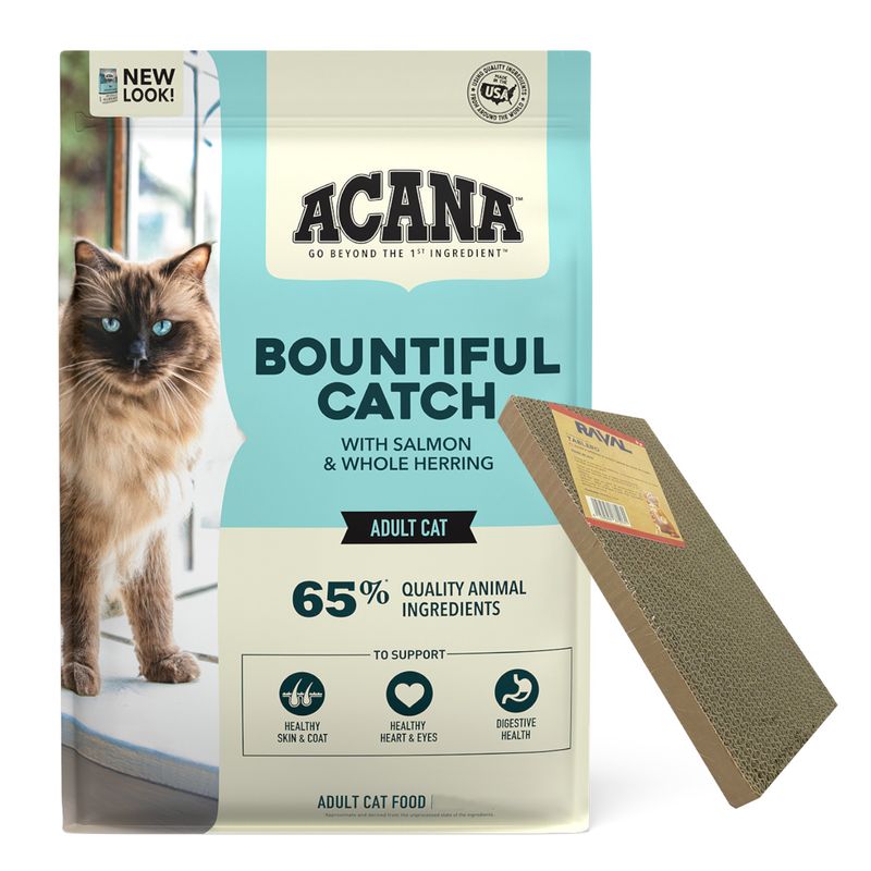 Gato-Ad-Bountiful-Catch---Rasacador.Jpg