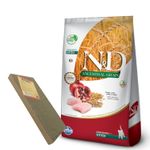 3N-D Ancestral Gato Kitten + Rascador.jpg