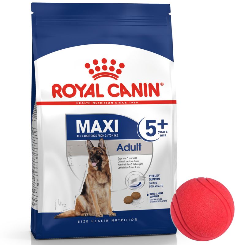 2Royal Canin Maxi Adult +5 + pelota.jpg