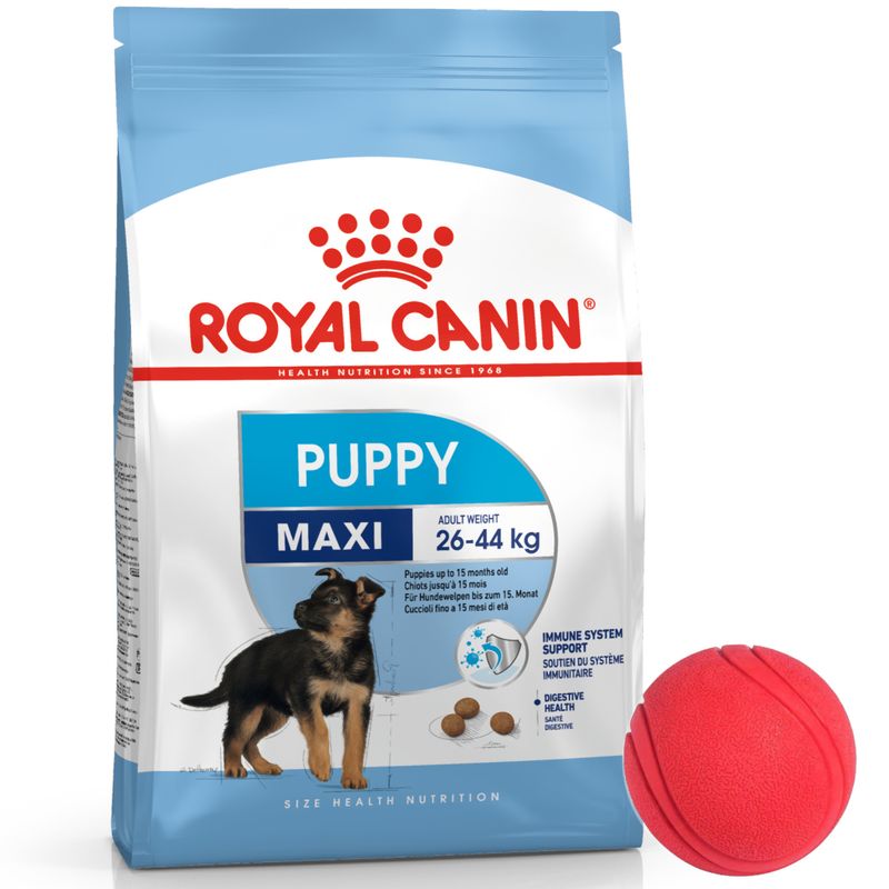 2Royal Canin Maxi Junior + pelota.jpg