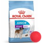 2Royal Canin Giant Junior + pelota.jpg