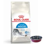 Gayo Indoor + Comedero de gato.jpg