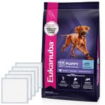 2Eukanuba Cachorro Grande + 5 panales.jpg