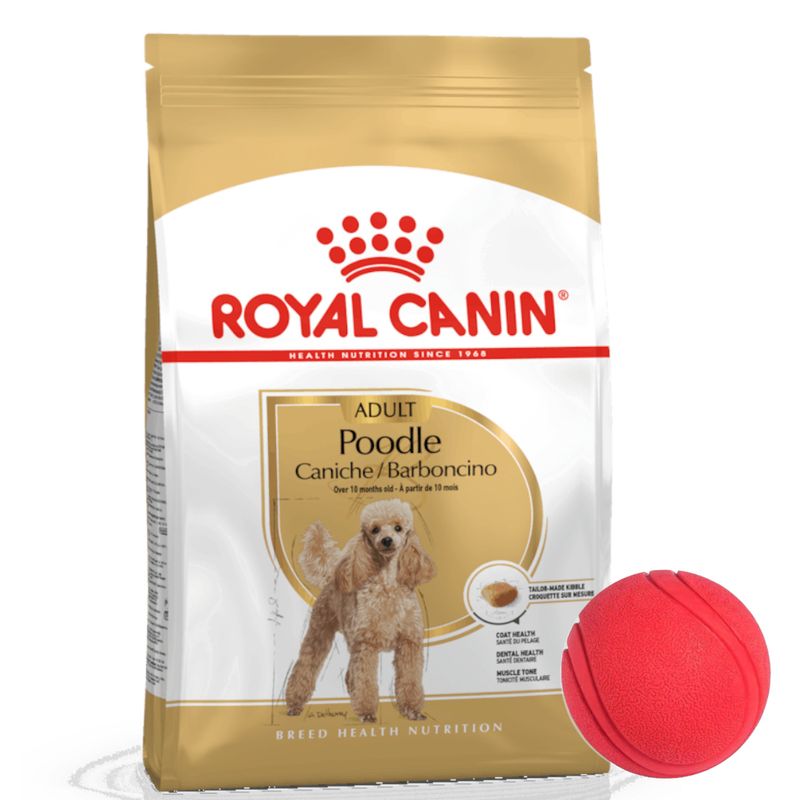 3Royal Canin POODLE aDULTO  + pelota.jpg