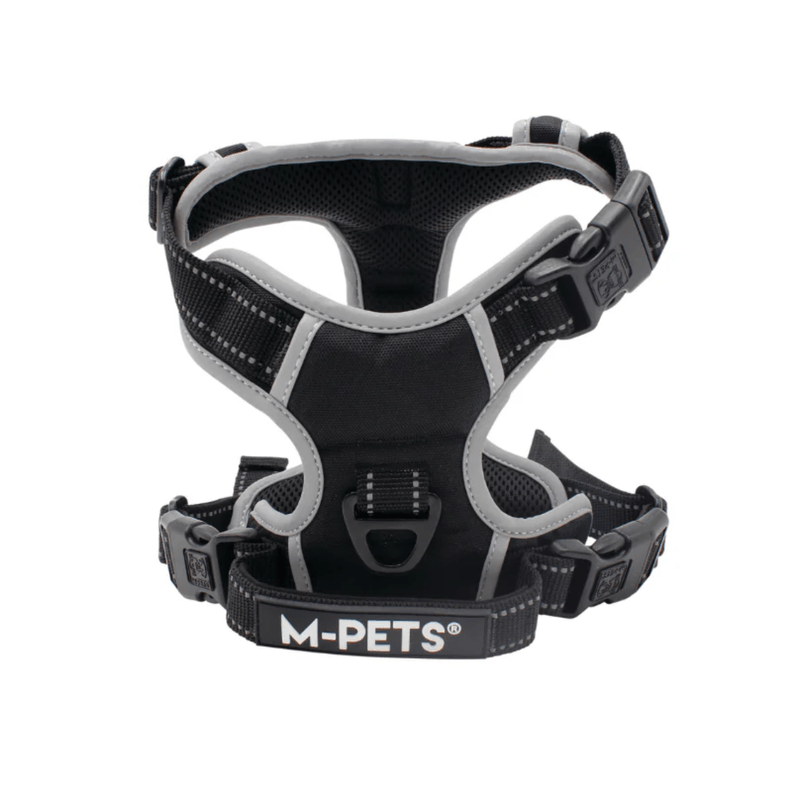 10854999ARNES-HIKING-MPETS---NEGRO---L