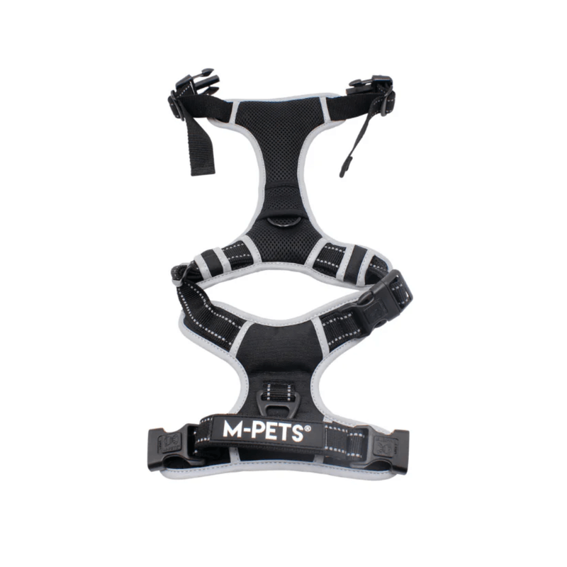 10854999ARNES-HIKING-MPETS---NEGRO---L--2-