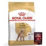 3Royal Canin POODLE aDULTO  + Pate GP