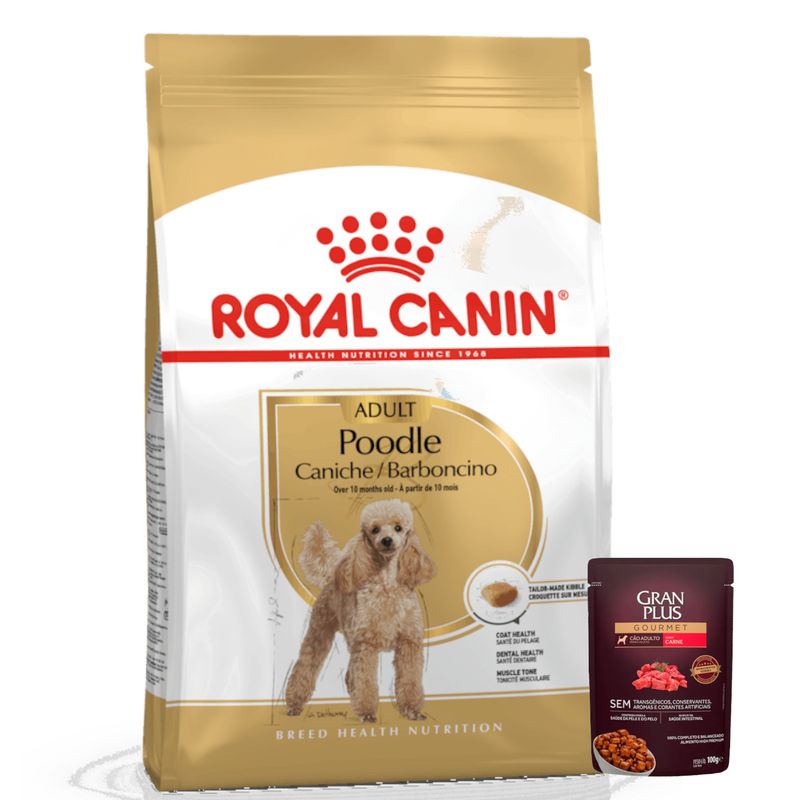 3Royal Canin POODLE aDULTO  + Pate GP