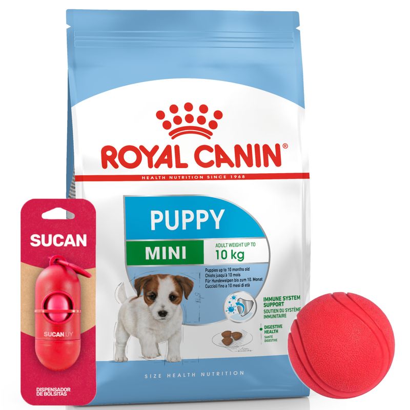 3Royal Canin Mini Junior + contenedor pequeno + Portabolsitas + Pelota